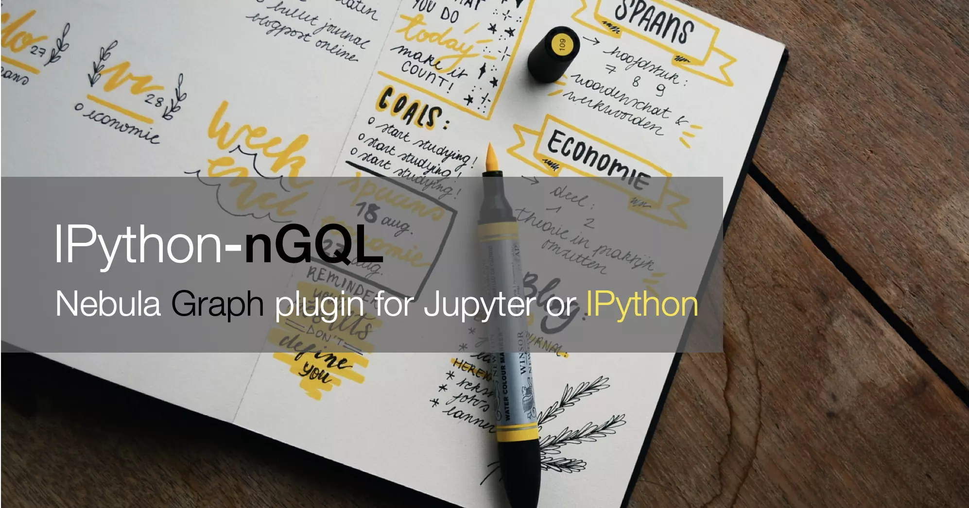 Nebula Graph 的 Jupyter Notebook 和 IPython 插件，方便在 Notebook 之中嵌入 nGQL 的 query 和 结果的调试。