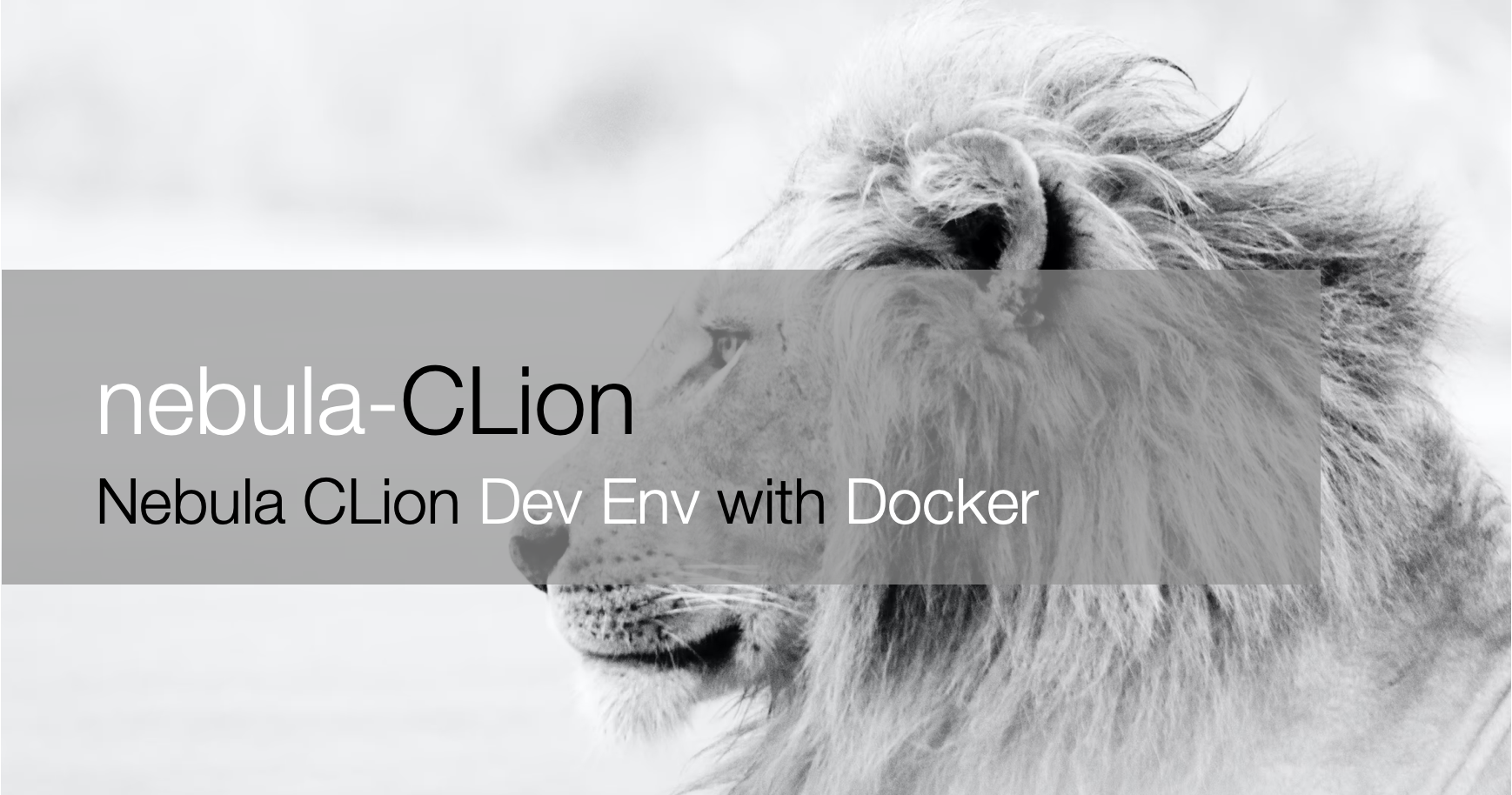 nebula-clion-docker-nebula-graph-clion-siwei-io