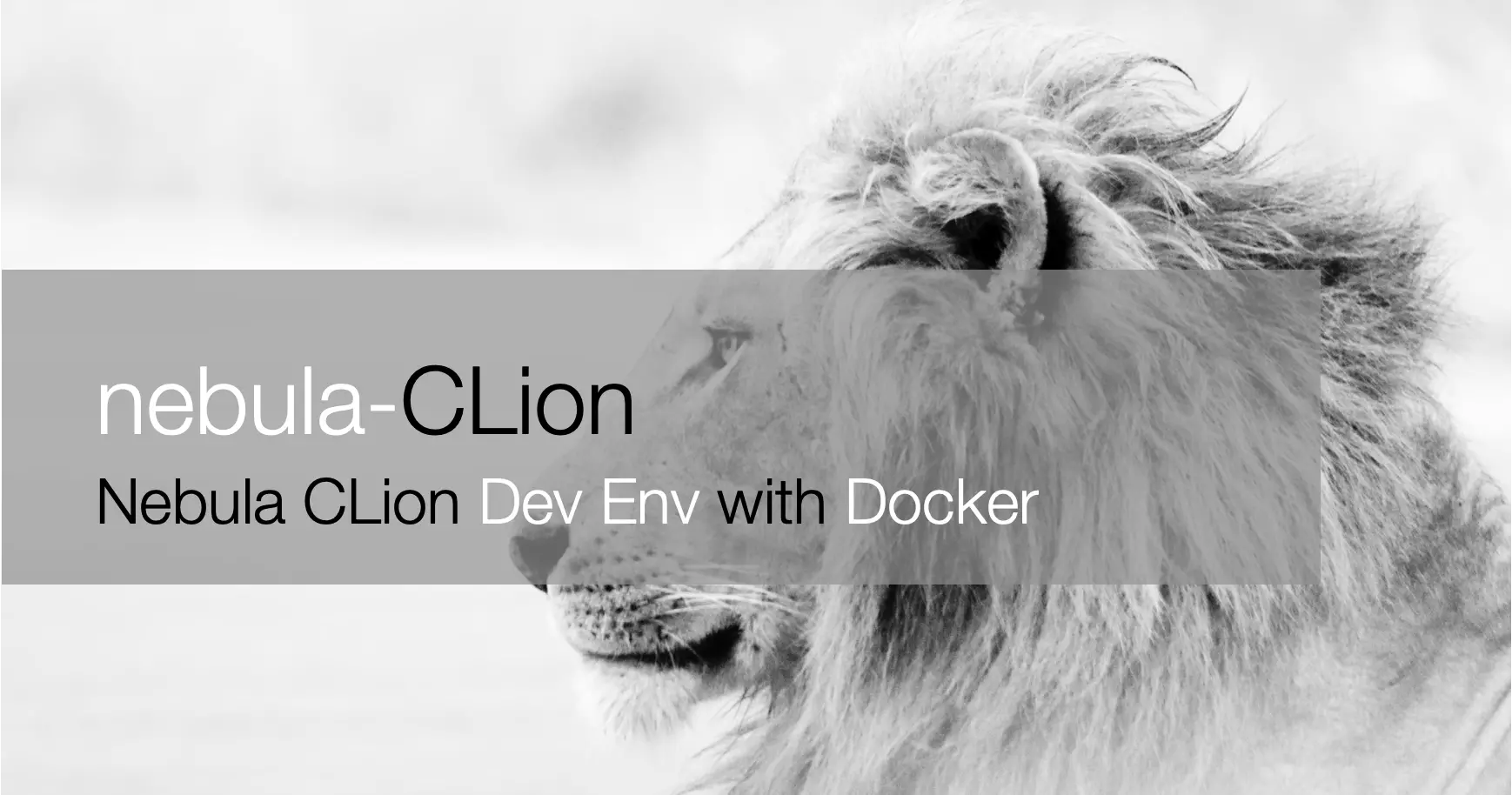 Setup Nebula Graph Dev Env with CLion and Docker 搭建基于 Docker 的 Nebula Graph CLion 开发环境